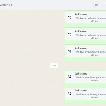 Eksik Ve Kalitesiz Ürün Teslimatı: Carneil Sandalye Mağduriyeti
