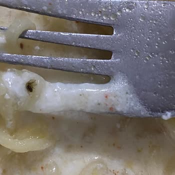 İndomie Noodle İçinden Çıkan Böcek Şoku