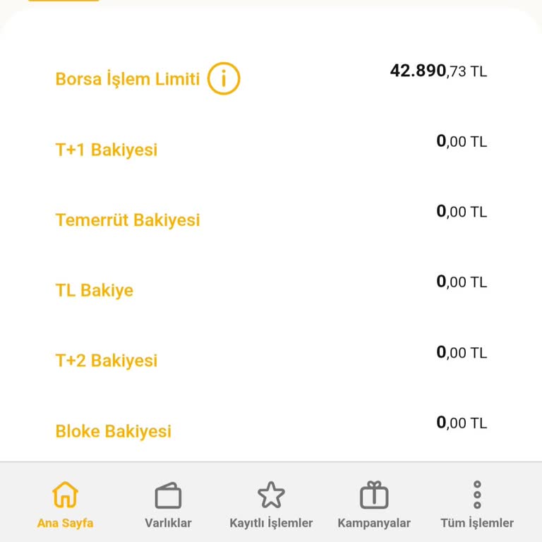 VakıfBank Fon Alımında Ani Zarar Şoku