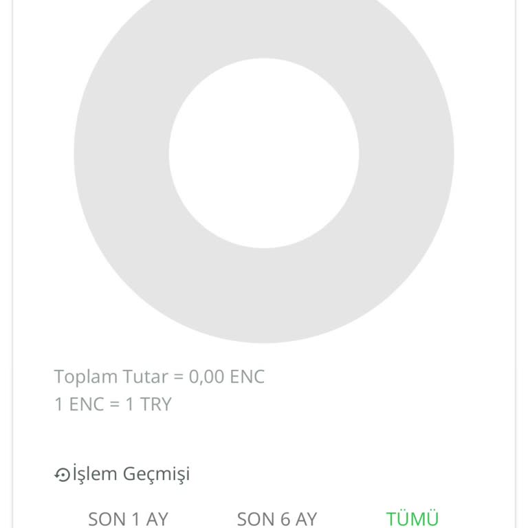Enuygun.com Encüzdan İle Bilet Alımında Karşılaşılan Sorunlar