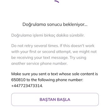 Pi Network Şifre Sıfırlama Sorunu Ve Yetersiz Altyapı