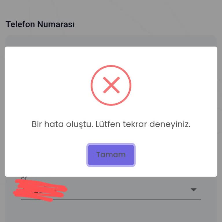Yarışma Sitesinde Erişim Sorunu Ve Kaygılarım