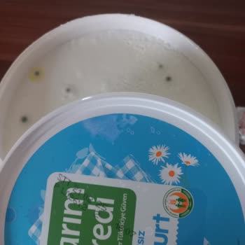 Son Kullanma Tarihine Güvenerek Aldığım Yoğurt Küflü Çıktı