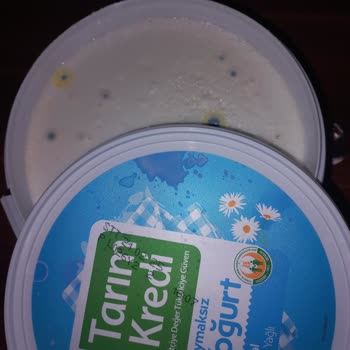 Son Kullanma Tarihine Güvenerek Aldığım Yoğurt Küflü Çıktı