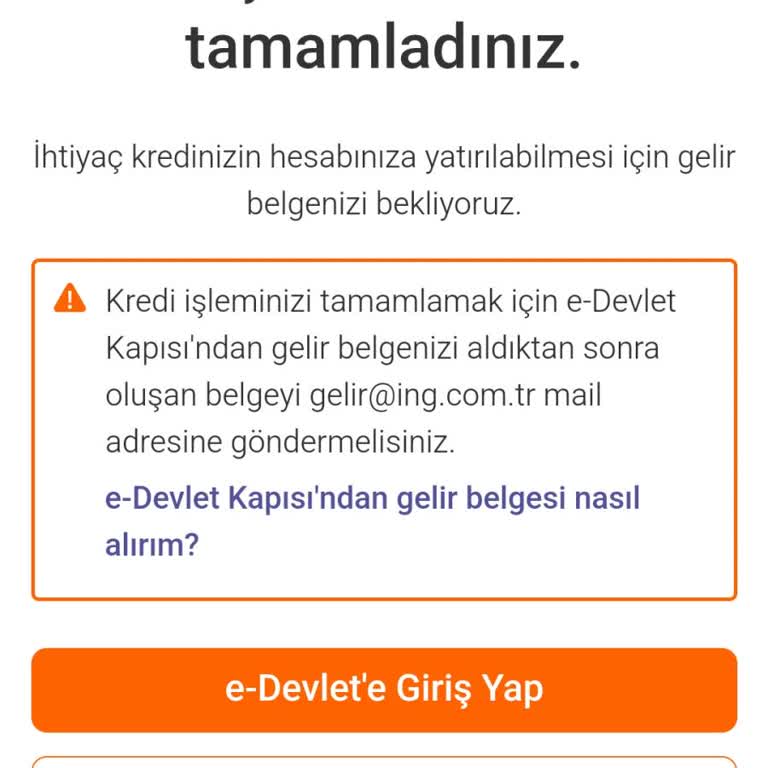 ING Kredi Başvurusunda Gecikmeli Geri Dönüş Sorunu