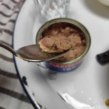 Konserve Ton Balığında Hijyen Sorunu