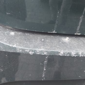 Otoparkta Aracıma Bilerek Tuz Atılıyor