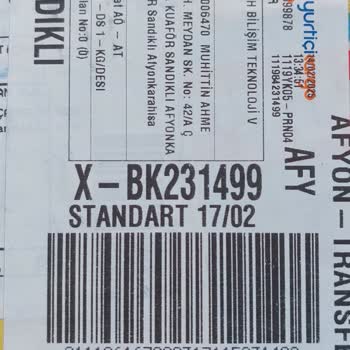 Dreame D10s Servis Sorunu Ve Müşteri Mağduriyeti