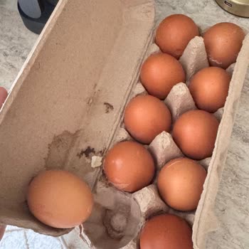 Migros Hemen'den Aldığım Kırık Yumurtalar Ve İade Sorunu