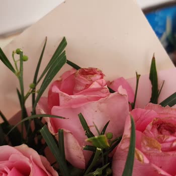 Yanlış Ürün Teslimatı Ve Kötü Müşteri Hizmetleri Deneyimi