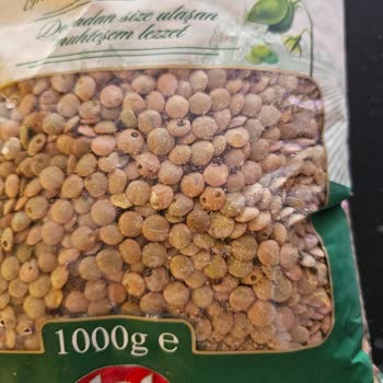 Tat Bakliyat Bozuk Yeşil Mercimek Ve Böcek Sorunu