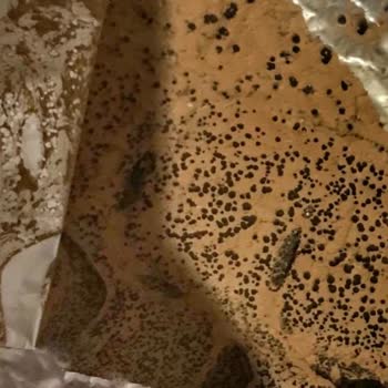 Bozuk Çikolata Şoku: Nestle Damak Hayal Kırıklığı