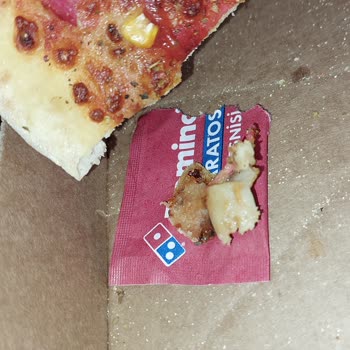 Hijyen Sorunu: Pizzada Kıl Çıktı