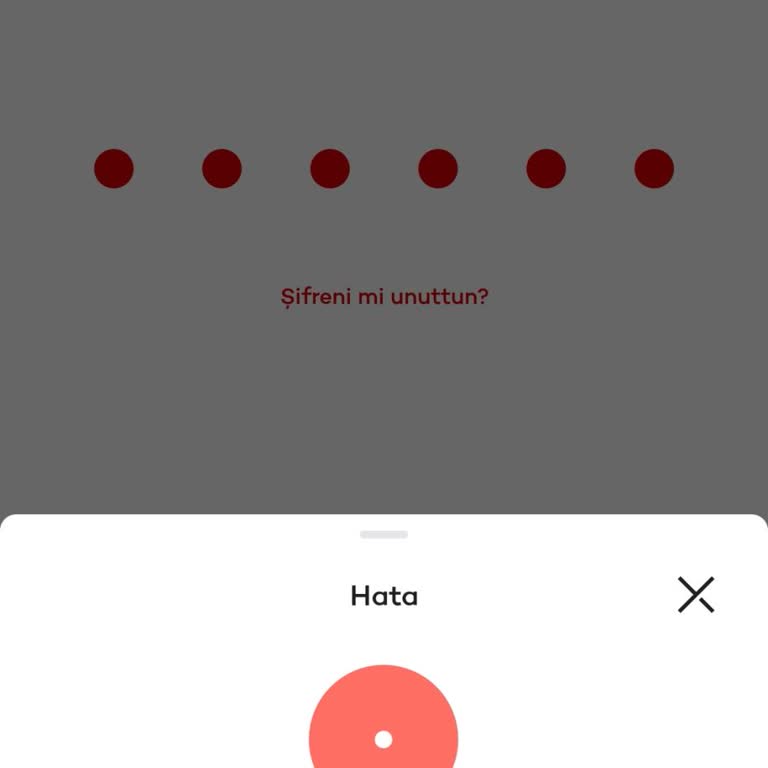 Akbank Mobil Uygulaması Giriş Sorunu