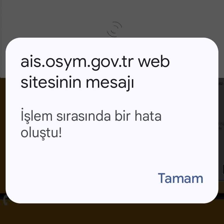 ÖSYM Sitesinde Başvuru Yaparken Sürekli Donma Ve Hata Sorunu