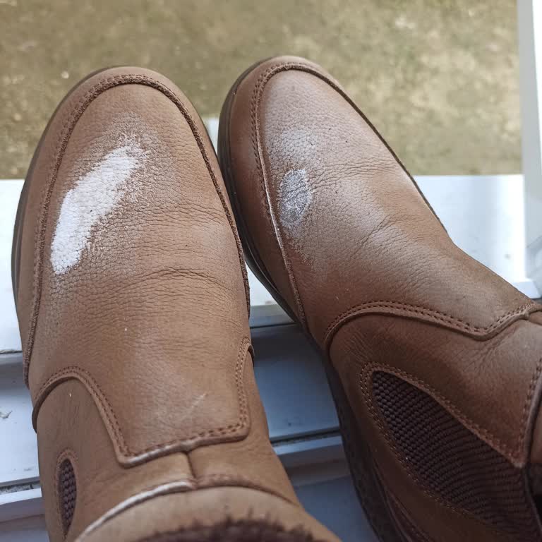 Polaris Botta Hayal Kırıklığı: Beklenmedik Beyaz Lekeler