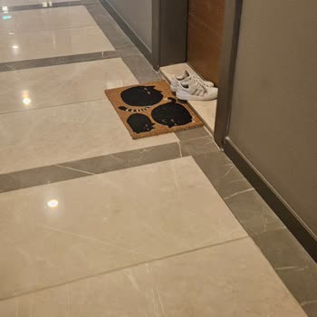 Yamanevler Yönetimi İlgisizliği Ve Temizlik Sorunları