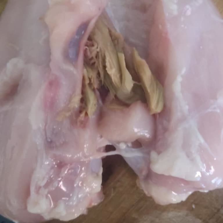 BİM Marketten Alınan Bozuk Tavuk Şoku