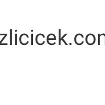 Hızlı Çiçek | Hizlicicek.com Çiçek Siparişi Teslimat Sorunu Ve İletişim Eksikliği