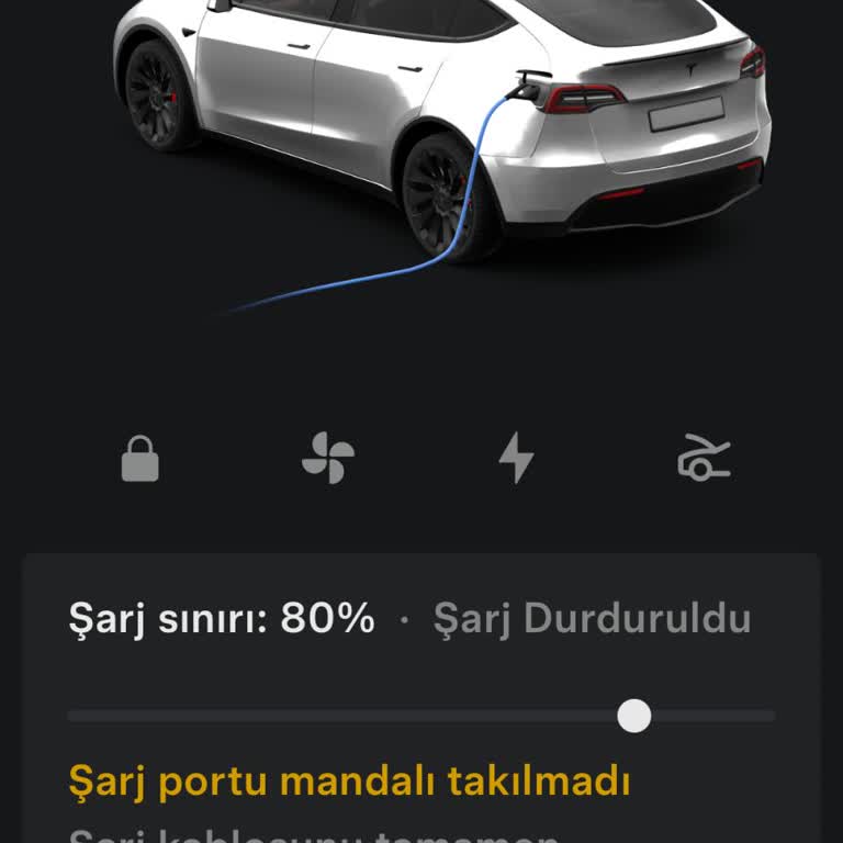 Tesla Model Y: Проблема с зарядкой и поддержкой