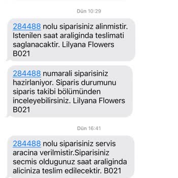 Sevgililer Günü Teslimat Kabusu: Lilyana Flowers'ın Müşteri Hizmetleri Ve Kargo Sorunları