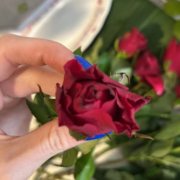 Hızlı Çiçek | Hizlicicek.com Eksik Ve Yıpranmış Gül Siparişi Sorunu!