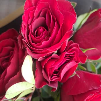 Hayal Kırıklığı Yaratan Çiçek Siparişi Deneyimi