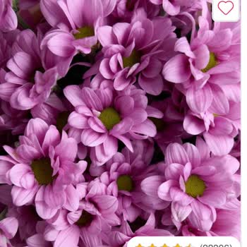 Yanıltıcı Ürün Gönderimi Ve İade Sorunu