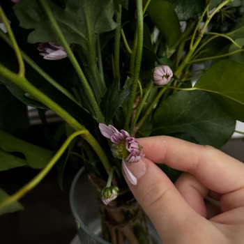 Yanıltıcı Ürün Gönderimi Ve İade Sorunu