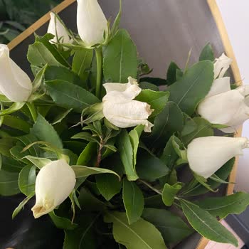 Sevgililer Günü'nde Hayal Kırıklığı: Bozuk Çiçek Teslimatı