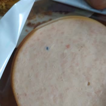 BİM'den Aldığım Hindi Füme Etin İçinden Mavi Parçacık Çıktı