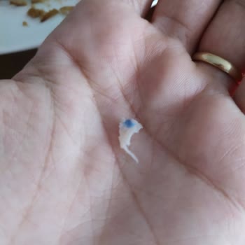 BİM'den Aldığım Hindi Füme Etin İçinden Mavi Parçacık Çıktı