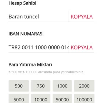 Yatırılan Paraların Hesaba Geçmemesi Sorunu
