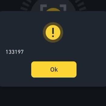Binance Won't Let Me Complete Verification Due to 133197 Error