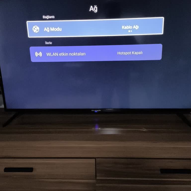 Skytech TV'nin Sürekli İnternet Bağlantı Sorunu