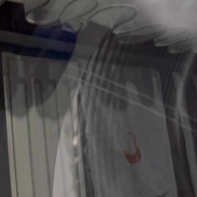 Buhar Özelliği Hayal Kırıklığı: Arçelik Kurutma Makinesi Sorunu