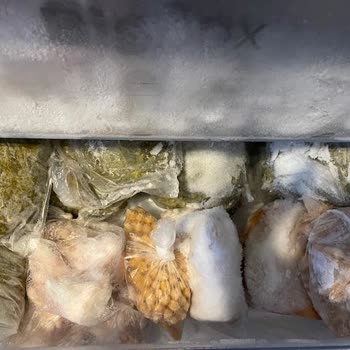 Bosch Buzdolabı Soğutma Sorunu: Ayarlanan Sıcaklık Değerlerine Ulaşamıyor