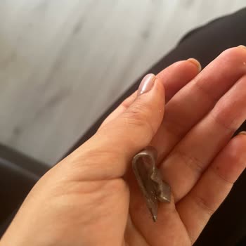 A101'den Aldığım Ceviz Paketinden Metal Parçası Çıktı!