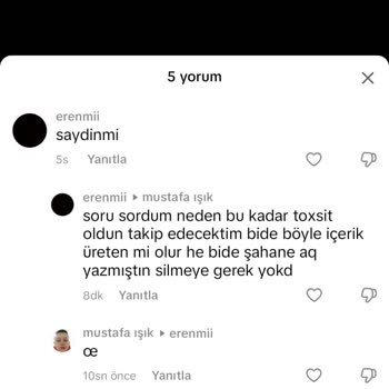 TikTok Üzerinde Hakaret İçeren Davranış