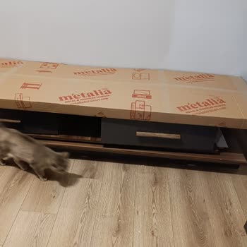 Hasarlı Dolap Ve İade Talebine Yanıt Alamama Sorunu