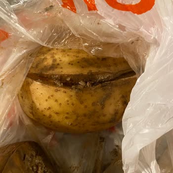 Migros Sanal Market'ten Gelen Çürük Patatesler