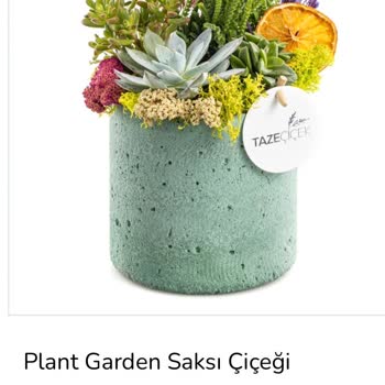 Yanıltıcı Görseller Ve İlgisiz Müşteri Hizmetleri Mağduriyeti