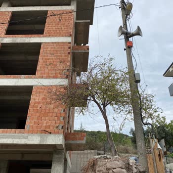 SEDAŞ'ın İhmali: 8 Aydır Kaldırılamayan Elektrik Direği