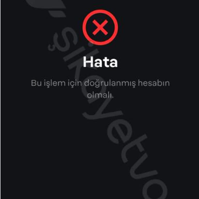 Papara Doğru Bilgilerle Hesap Doğrulama Sorunu Ve Yardım Talebi