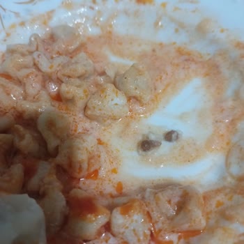 Gazioğlüçler Mantıda Sert Kahverengi Parçalar Şoku