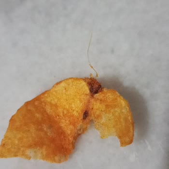 Lays Paketinde Şok Edici Böcek Sürprizi