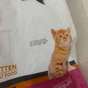 Trendyol GO'dan Gelen Tarihi Geçmiş Mama Şoku