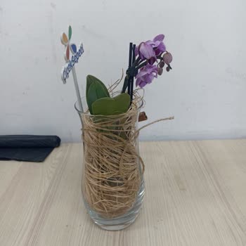 Ayıplı Ürün Ve Yetersiz Çözüm Teklifi