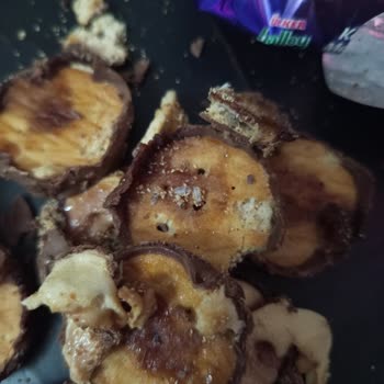 Ülker Halley'de Şok Edici Kurtçuk Sorunu