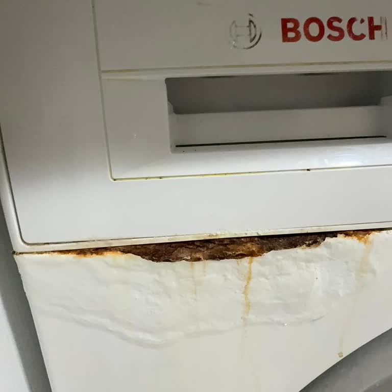 Bosch Makinemde Beklenmedik Paslanma Problemi
